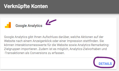 Google Ads Websitemesswerte Importieren 3