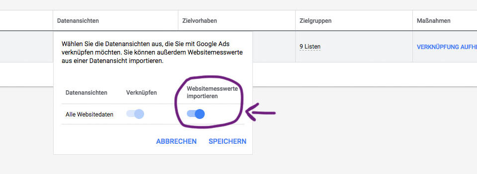 Google Ads Websitemesswerte Importieren