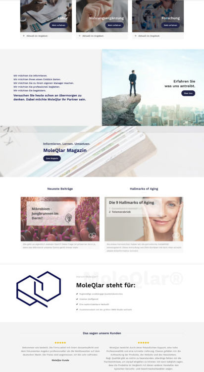 Moleqlar Wordpress Woocommerce Webdesign Online Shop Agentur