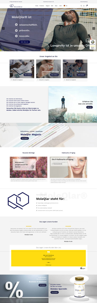 Moleqlar Wordpress Woocommerce Webdesign Online Shop Agentur