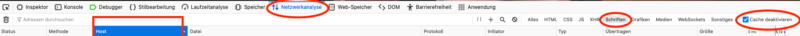 Netzwerkanlayse Browser Google Fonts Schriftarten Dsgvo