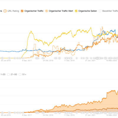 Seo Optimierung Suchmaschinenoptimierung Metriken Werte Case Studie Marketing Online