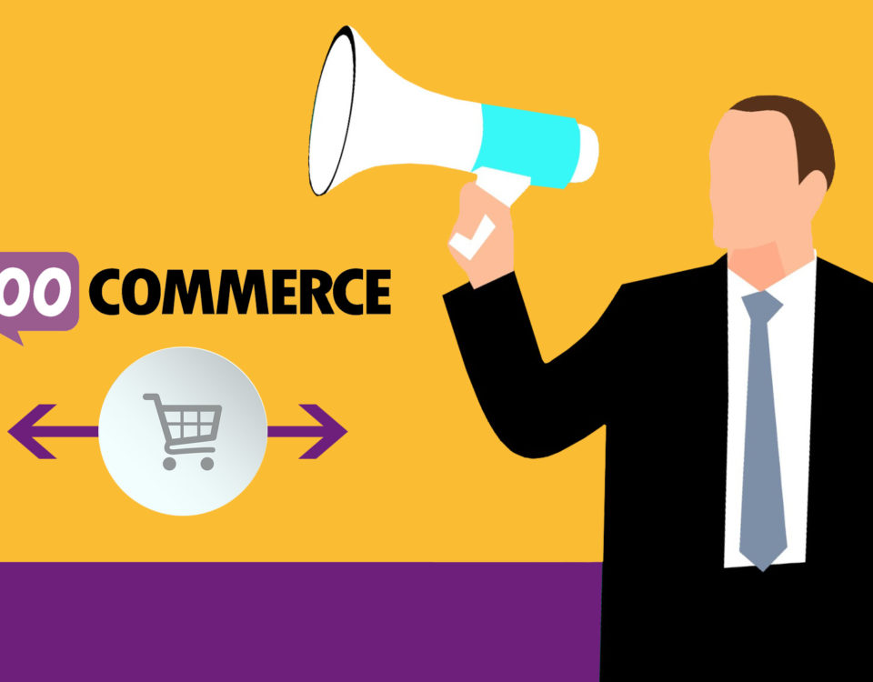 Woocommerce Auktionen Versteigerungen Plugin Shop Wordpress Woo Onlineshop Webshop Modul