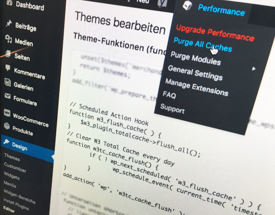Wordpress W3 Total Cache Auto Cache Flush Automatisch Leeren